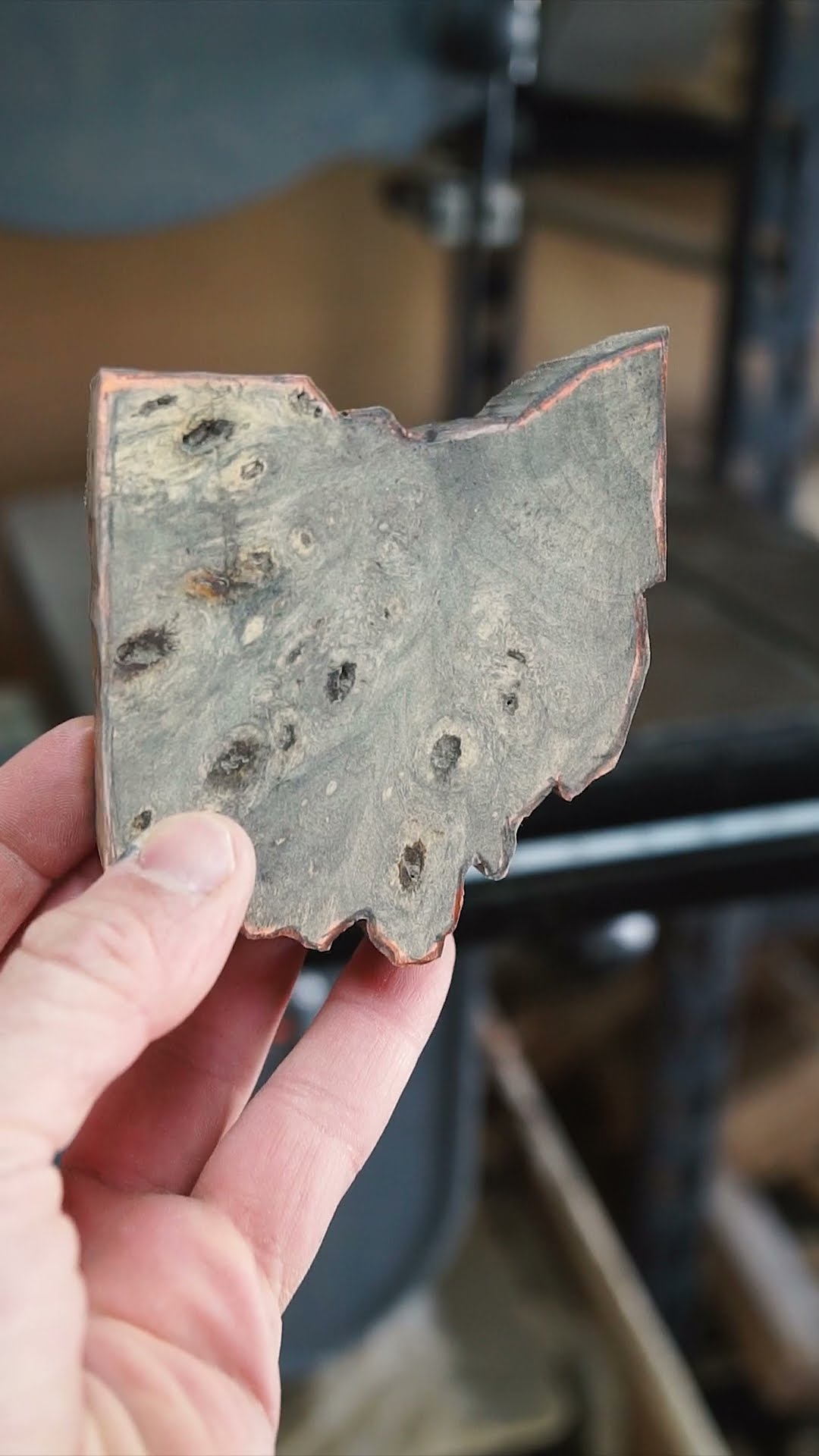 Making Ohio out of Buckeye Burl | Official State Tree Map #shorts #trees #wood